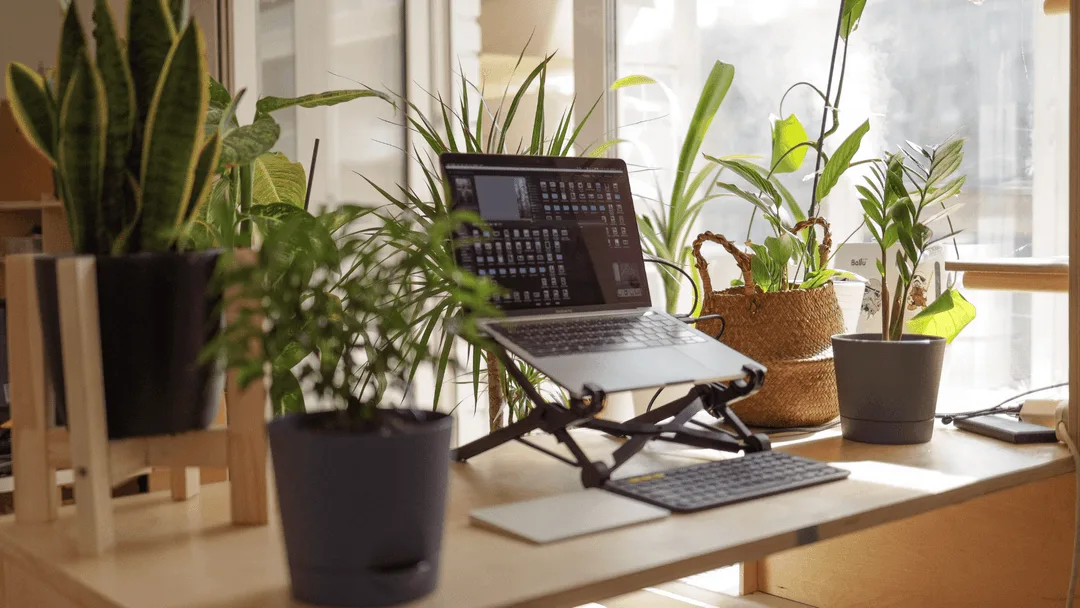 8 Tips for Working From Home to Attain Better Work-Life Balance
