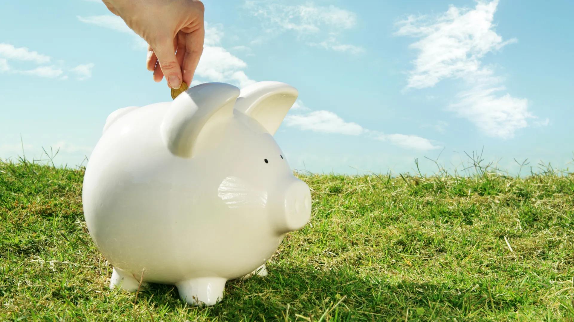 Paying yourself from a corporate LLC