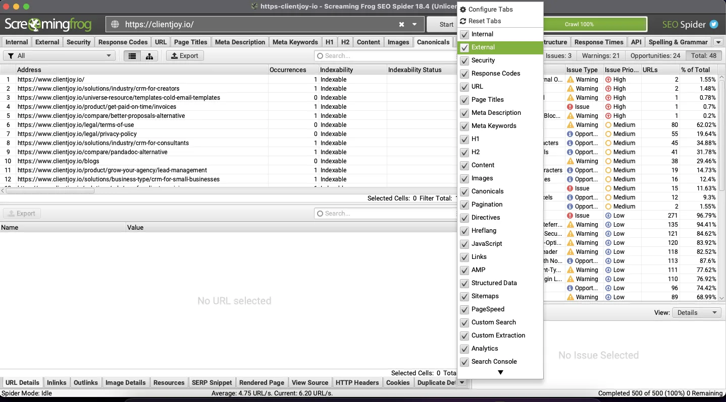 Clientjoy Website Audit using Screaming Frog 