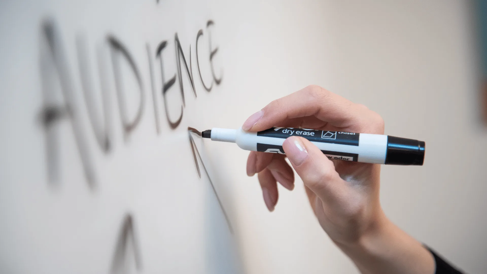 Identify Your Target Audience